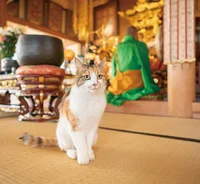 ありがたや～！ お寺に暮らす猫たち「てらねこ」の日常生活をちょっとのぞき見