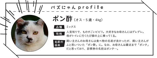 プロフィール