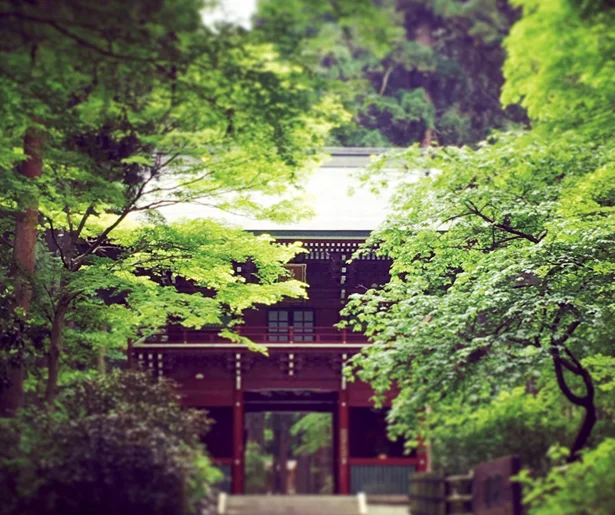 お金をかけずにGWを楽しむ！ 「御朱印集めの神社巡り」「お風呂運動会」