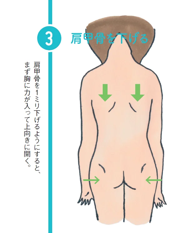  出典：40代から始めよう！あぶら身をごっそり落とす「きくち体操」