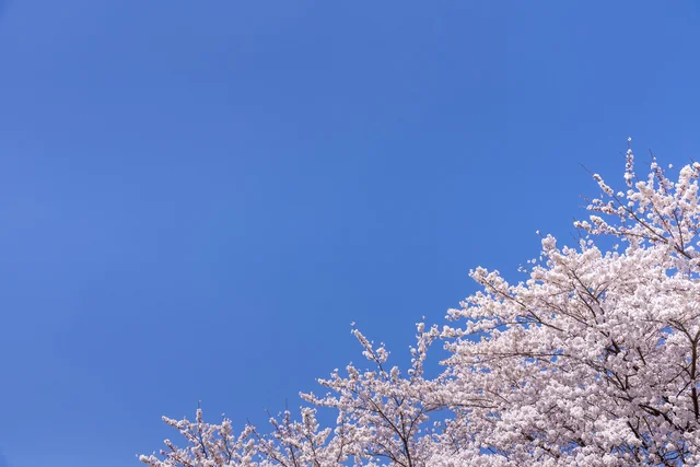 曲に“一貫性”がないことが共通点!? 思わずグッとくる“上京ソング”の法則