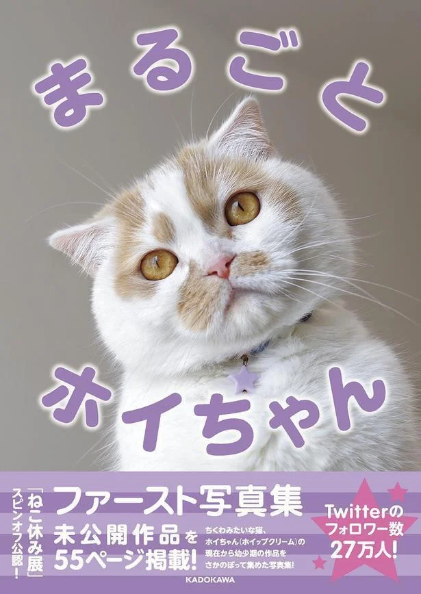  出典：「ねこ休み展」スピンオフ公認! まるごとホイちゃん ファースト写真集