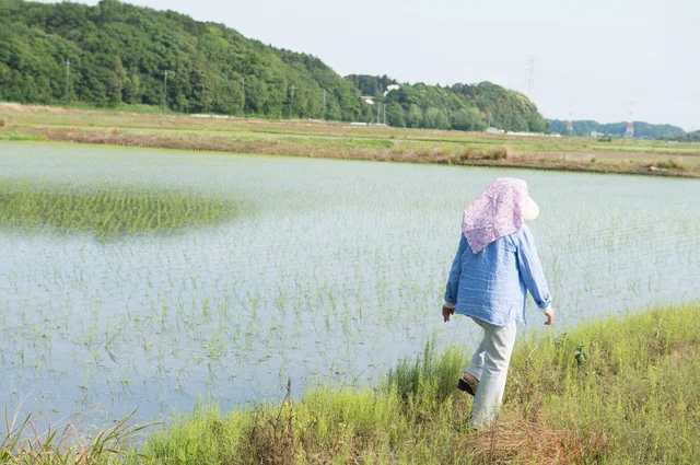 人づきあいが苦手で避けていたけど、姑と今の付き合い方でいいのか悩んでいます【お悩み相談】