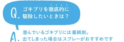 ゴキブリを徹底的に駆除したいときは？