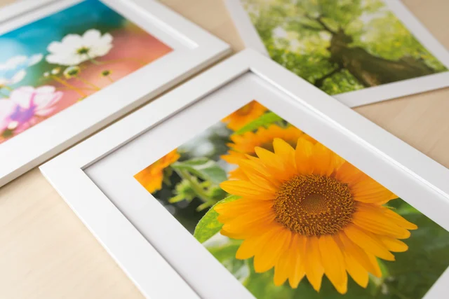 人物写真はオシャレ感がない… リビングに飾るならどんな写真？