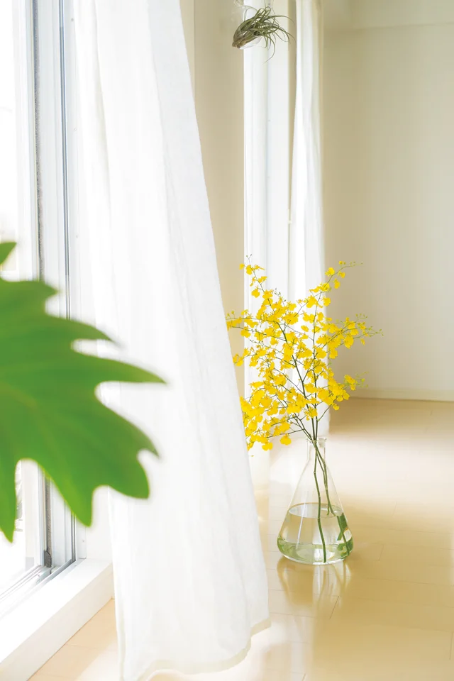 片づけは目的ではなく手段。その先にある「理想の暮らし」イメージして　大人のラク家事（12）【連載】
