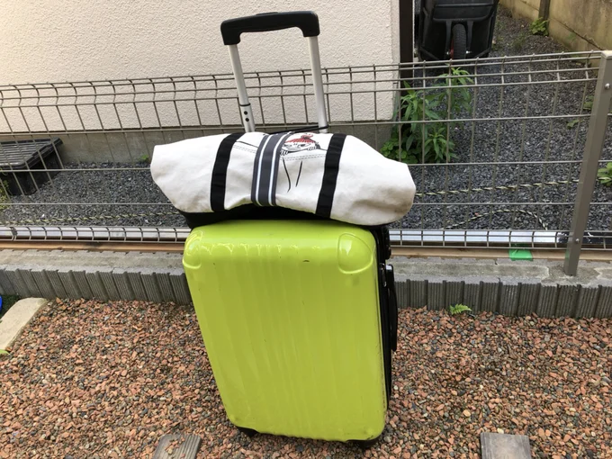 ダイソー 手荷物固定ベルト(キャリーケース用) 画像3