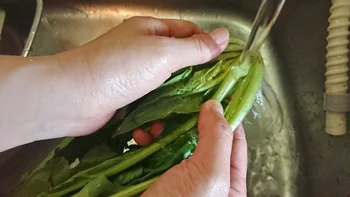 【きのう何食べた？】乙女系中年ラブ凝縮！ な「ほうれん草の白和え」を作ってみた