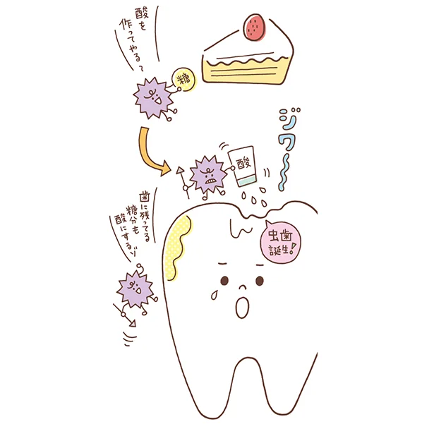 6月4日は虫歯予防デー 知っておきたい最新 虫歯 歯周病ケア レタスクラブ