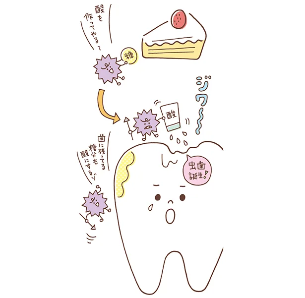 【画像を見る】虫歯ができるメカニズム