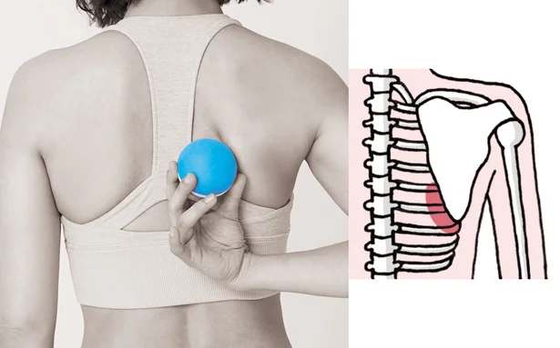 きつい運動や食事制限ナシ 太りにくくなる くびれbody の作り方 画像17 18 レタスクラブ