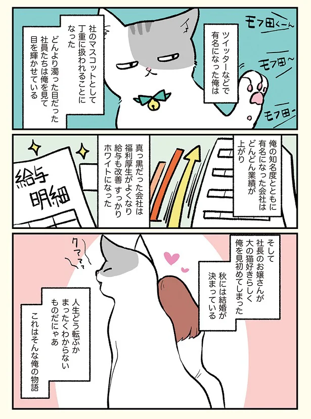 朝起きたら猫になっていた ブラック企業の社員が猫になって人生が変わった話 モフ田くんの場合 1 連載 画像5 8 レタスクラブ