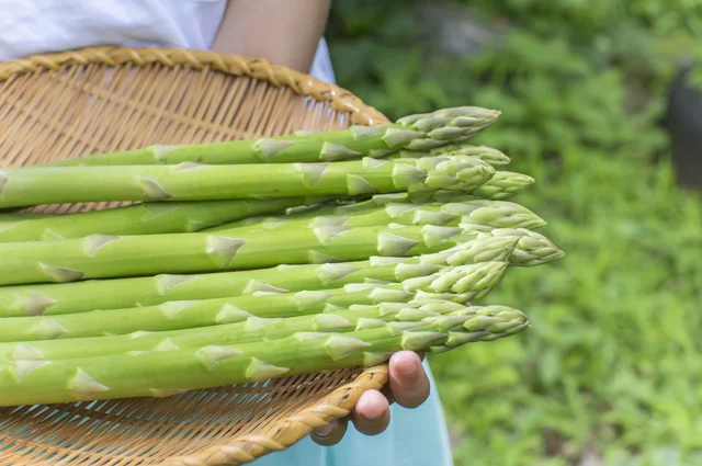 「これはヘビロテの予感…」 年間3000本のアスパラガスを食べる男イチ押しの「絶品アスパラ飯」