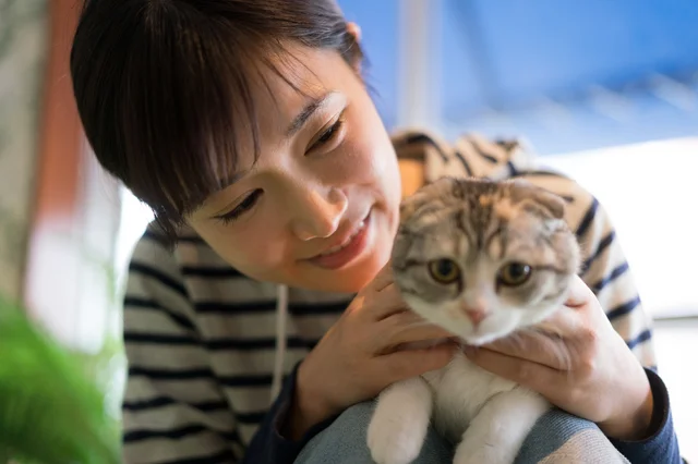 【写真】感情豊かな猫の仕草