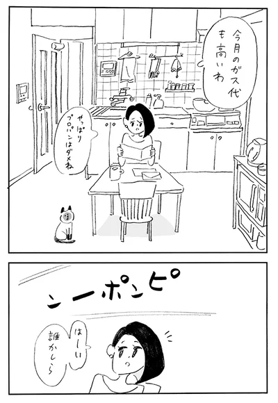 【画像を見る】第1巻『生理ちゃん』から「主婦と生理ちゃん」をお送りします