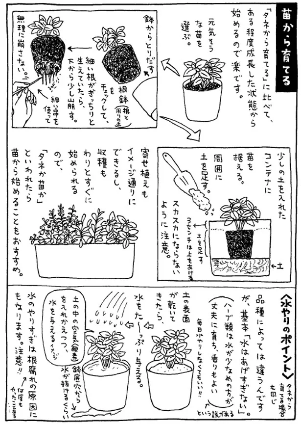 出典：うちの香草 育てる 食べる 薬味とハーブ18種