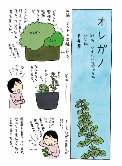 【画像を見る】香草を育てていると、ままならないことが多々あります