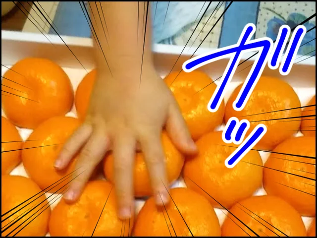 おみかん様、降臨！ あまりの美味しさに三世代が取り合いの勢い