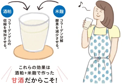 酒粕→コラーゲンゲルの収縮を増加させる/米麹→コラーゲン分解酵素を減少させる
