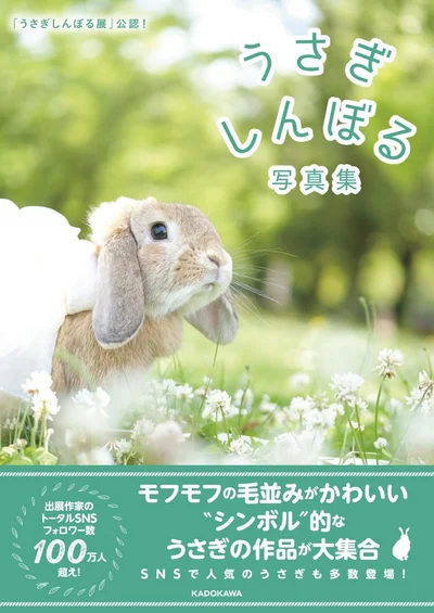 「うさぎしんぼる展」公認! うさぎしんぼる写真集