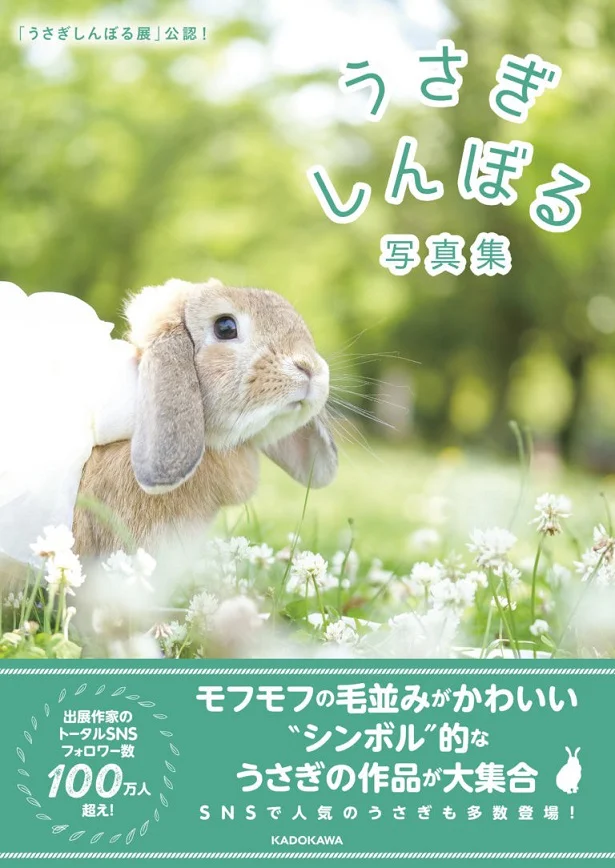 「うさぎしんぼる展」公認! うさぎしんぼる写真集