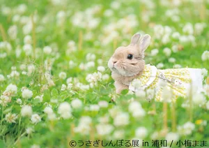 すべてが愛おしくて、どんなことも許してしまう…！「小梅/小梅まま」うさぎしんぼる（7）【連載】