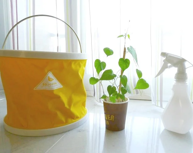 こんなバケツ見たことない…！【ナチュラルキッチン】折りたたみバケツがオシャレに大進化…！しかも使い方は無限大！
