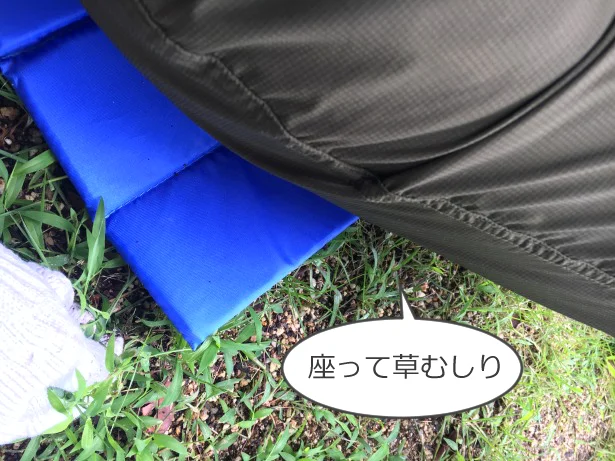 私の草むしりスタイル:その1