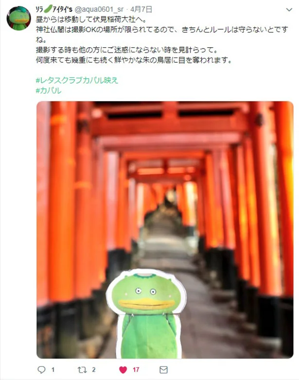 きせかえカパル“映え写”コンテスト:特別賞02