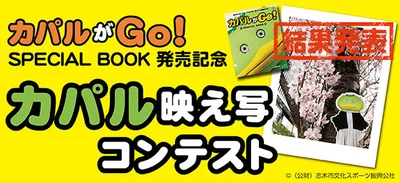 きせかえカパルコンテスト発表！