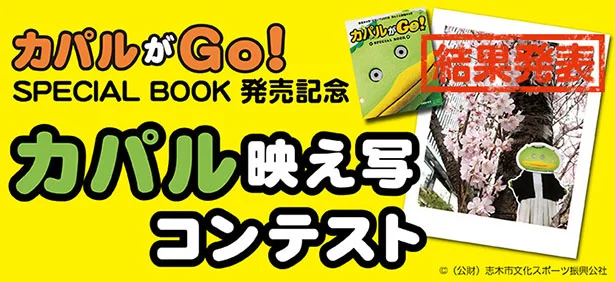 きせかえカパルコンテスト発表!