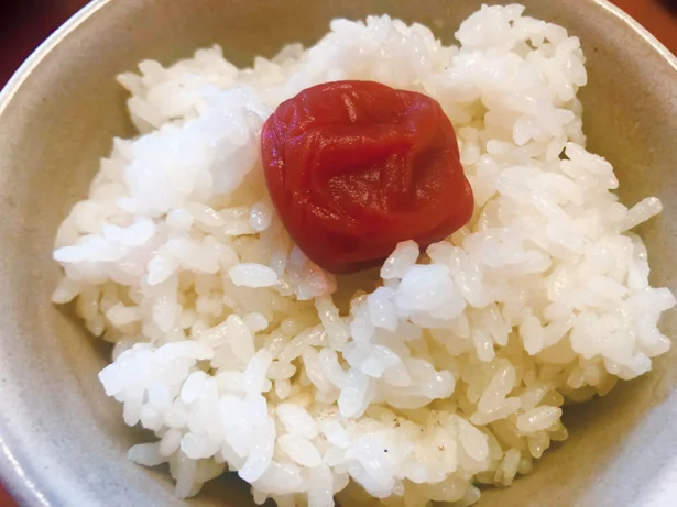 【写真を見る】このすがすがしさ…あっぱれ!