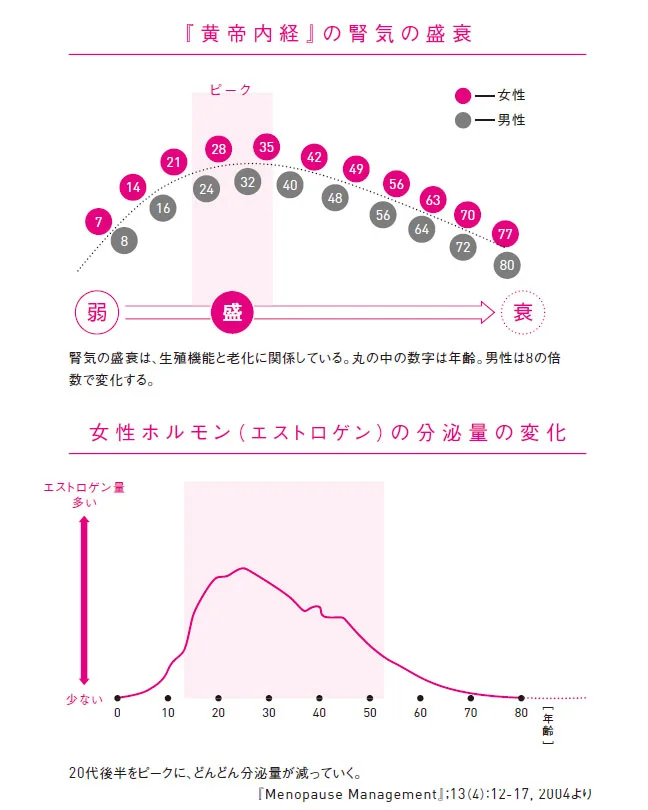 『黄帝内経』の腎気の盛衰