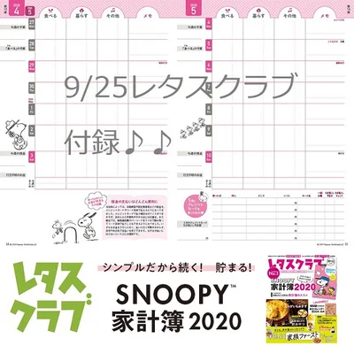 レタスクラブ付録「SNOOPY家計簿2020」の中身はこんな感じです！