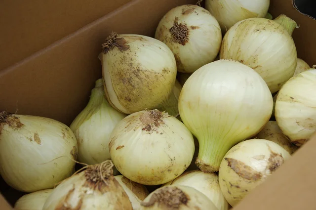 大量の野菜を持ってくる義母。断りたいけれどどうすれば？【お悩み相談】