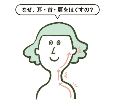 なぜ、耳・首・肩をほぐすの？