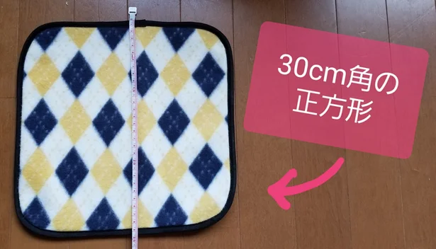 【画像】マットは30cm×30cmほどの大きさ