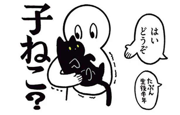 人懐っこすぎるネコ、ろん　黒猫ろんと暮らしたら（1）