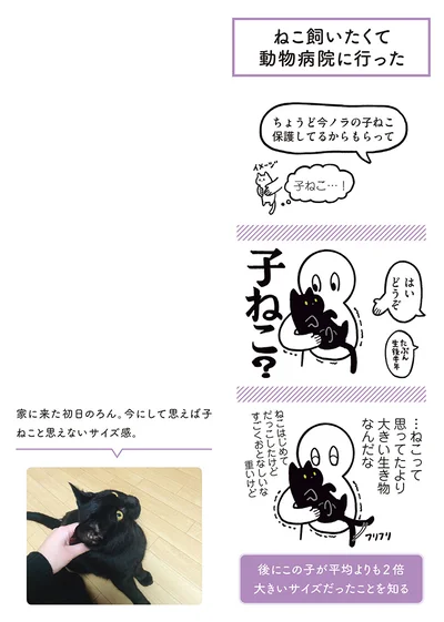  【画像を見る】黒猫ろんと暮らしたら