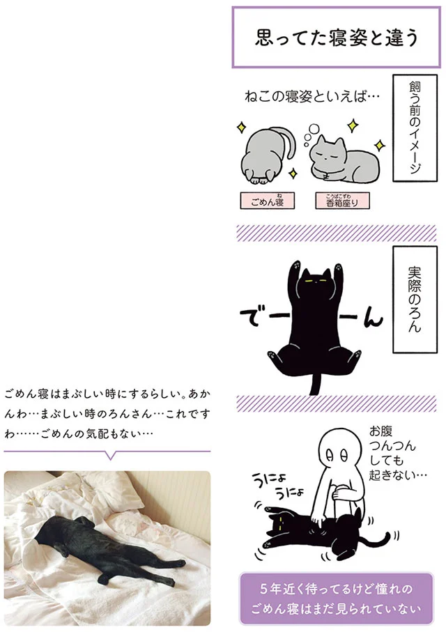 思ってたネコ像とギャップがありすぎる 黒猫ろんと暮らしたら（2）【2