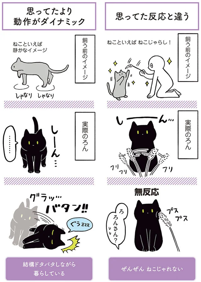 思ってたネコ像とギャップがありすぎる 黒猫ろんと暮らしたら 2 画像3 8 レタスクラブ 思ってたネコ像とギャップがありすぎる 黒猫ろんと暮らしたら 2 画像3 8 レタスクラブ