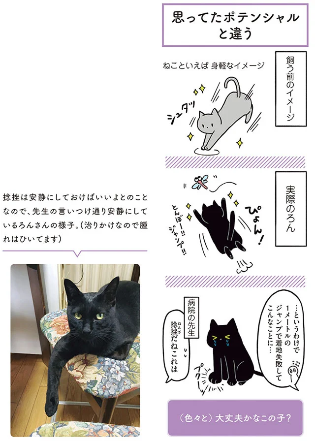 思ってたネコ像とギャップがありすぎる 黒猫ろんと暮らしたら 2 2ページ目 レタスクラブ