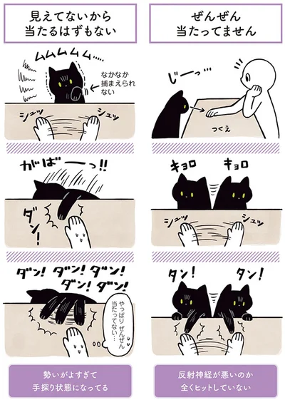 【画像を見る】黒猫ろんと暮らしたら