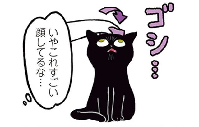 うれしいけどごめんね　黒猫ろんと暮らしたら（4）