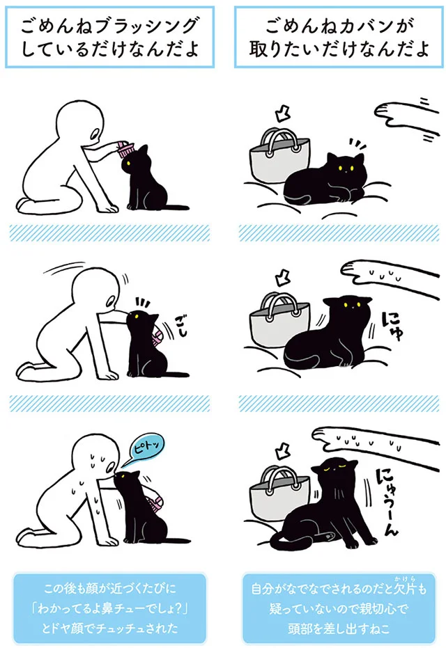 【画像を見る】黒猫ろんと暮らしたら