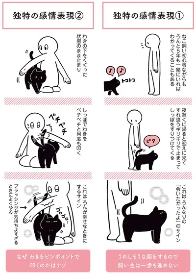 【画像を見る】黒猫ろんと暮らしたら