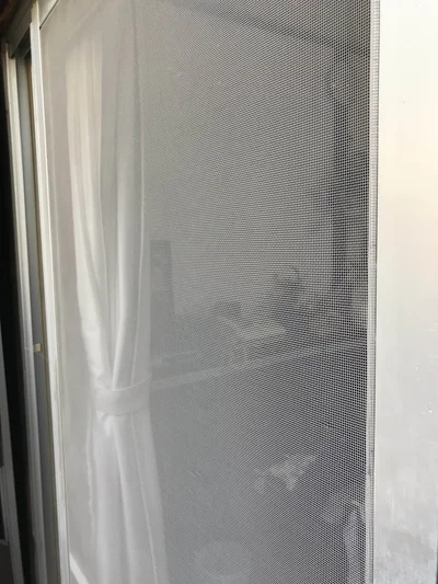 網目のほこりも砂汚れもすっきり落ちた！