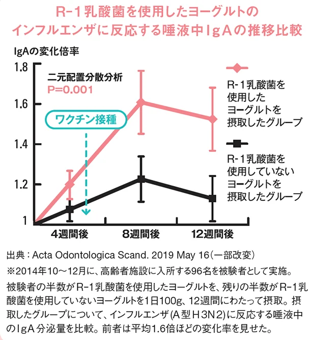 R‒1乳酸菌を使用したヨーグルトのインフルエンザに反応する唾液中IgAの推移比較