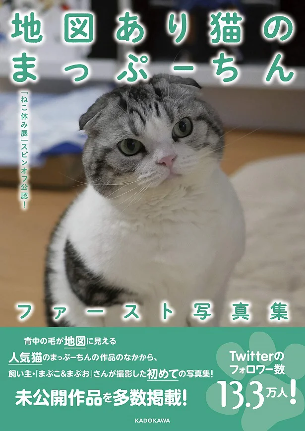 「ねこ休み展」スピンオフ公認! 地図あり猫のまっぷーちん ファースト写真集