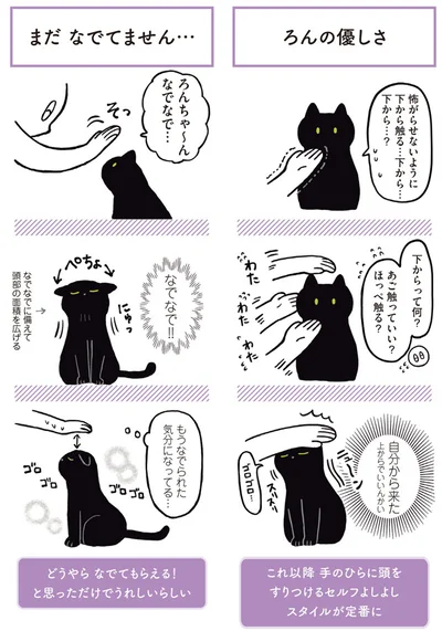 【画像を見る】黒猫ろんと暮らしたら